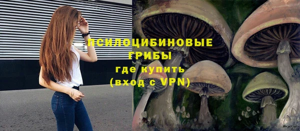 твердый Абинск
