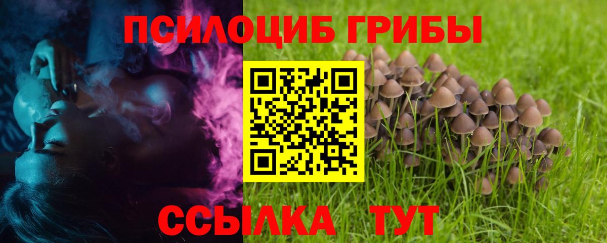 Псилоцибиновые грибы мухоморы Жуковский